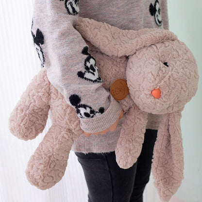 Aixini  Cute Cotton Stuffed Rabbit Plush with Long Ears